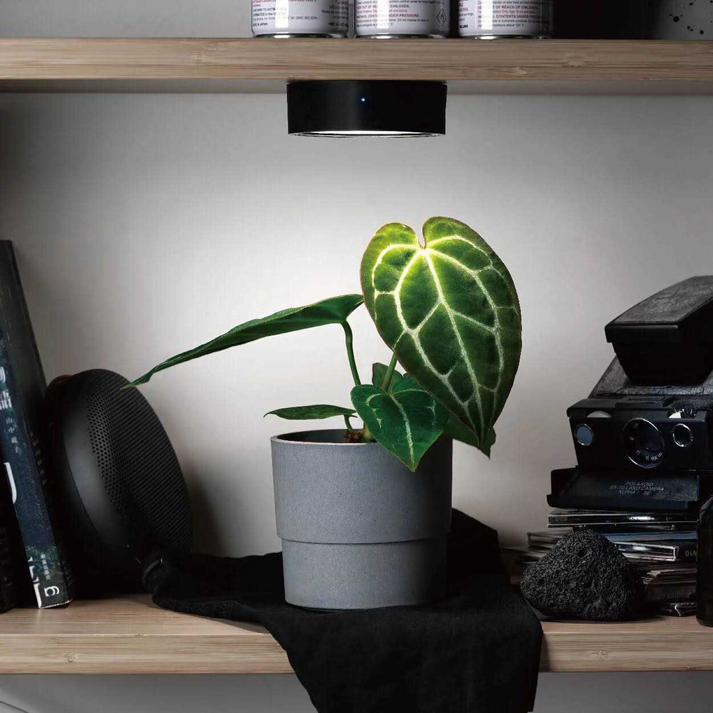 ONF Mist O Shelf Magnetic LED Light for Indoor Plant Growth W249010