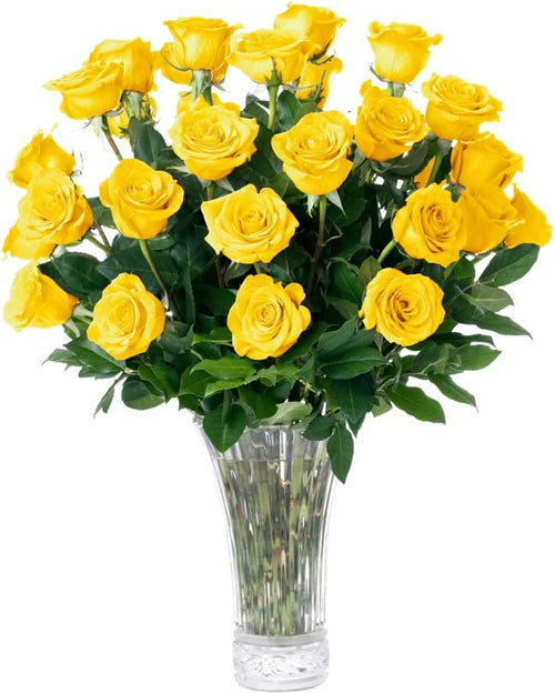 1 Dozen Yellow Roses, Best Next-Day Fresh Flower for Delivery Prime, Ideal for Birthdays, Get Well Gift for Women, Anniversary, Sympathy, Congratulations, Thank You, Just because - Aquarossa Farms