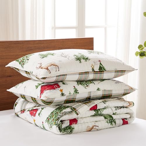 Levtex Home Tatum Pines Reversible Cotton Quilt Set with 2 King Pillow Shams M116223
