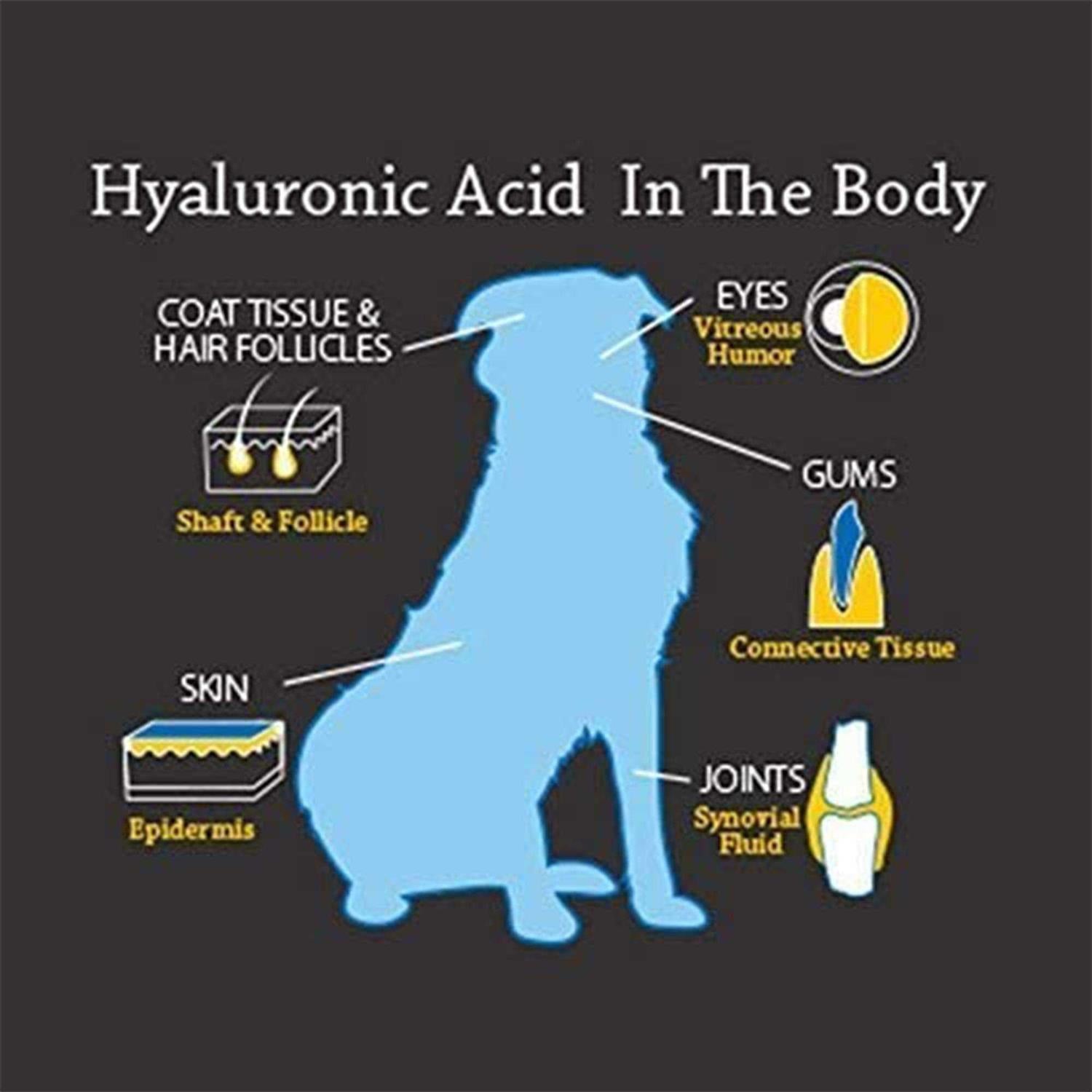 Hyalogic HyaFlex Pro Complete Joint Care for Pets K253