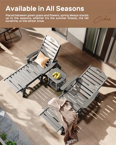 Ciokea Chaise Lounge Chair Outdoor, Adjustable 5-Position, Grey N3005