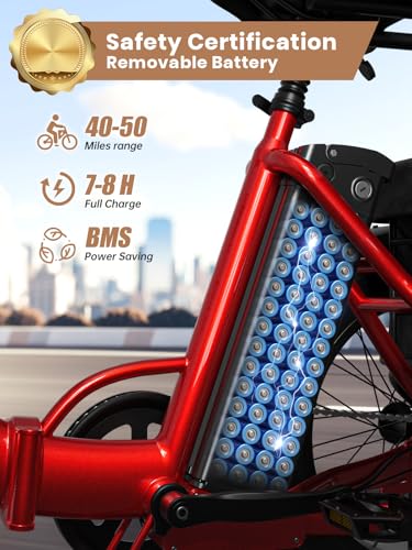 Electric Trike for Adults 960W Peak 36V 15AH Battery 20" Fat Tire with Rear Basket V89083