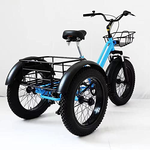 EMYJAY Adult Tricycle 7-Speed 20 Inch Fat Tire 3-Wheel Bike with Large Basket C421922