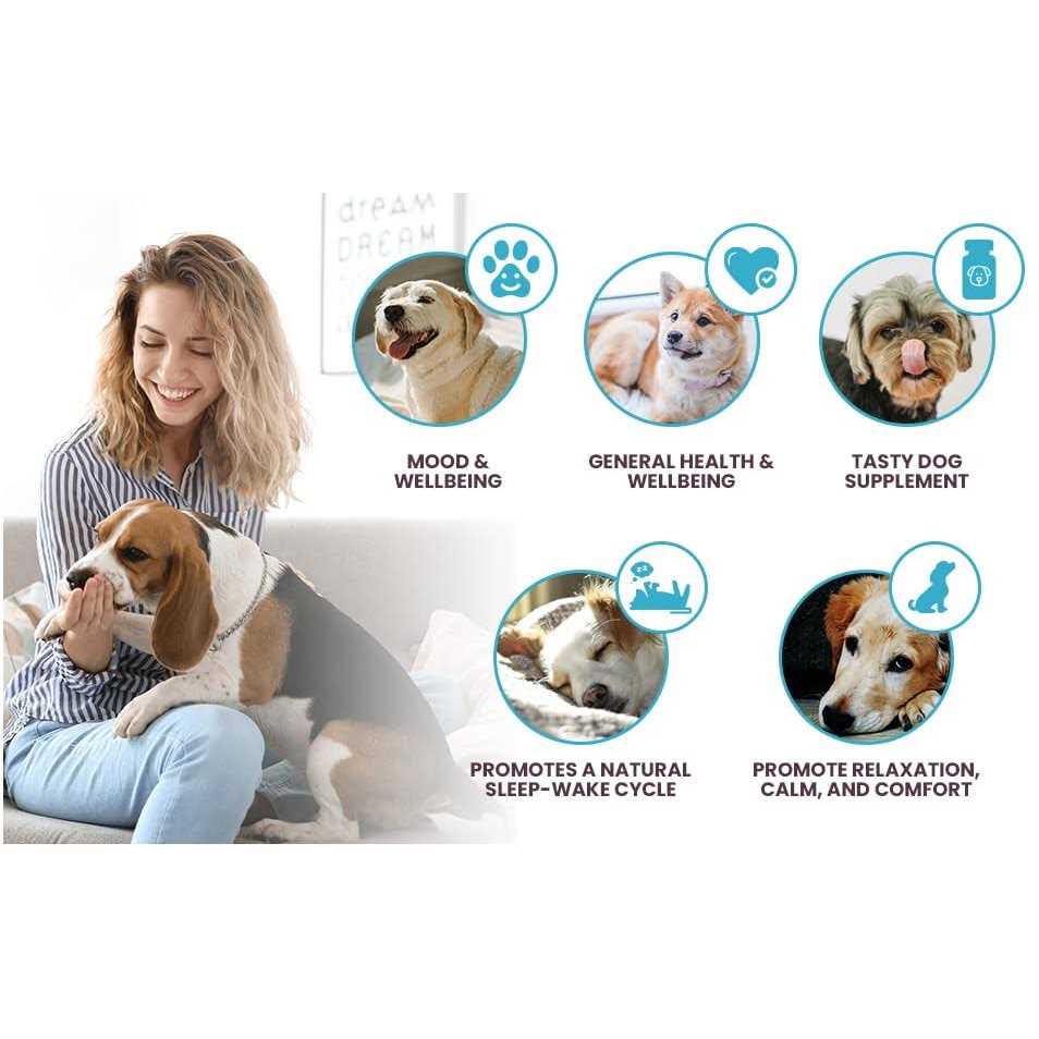 K9 Select Melatonin for Small Dogs 1mg M196