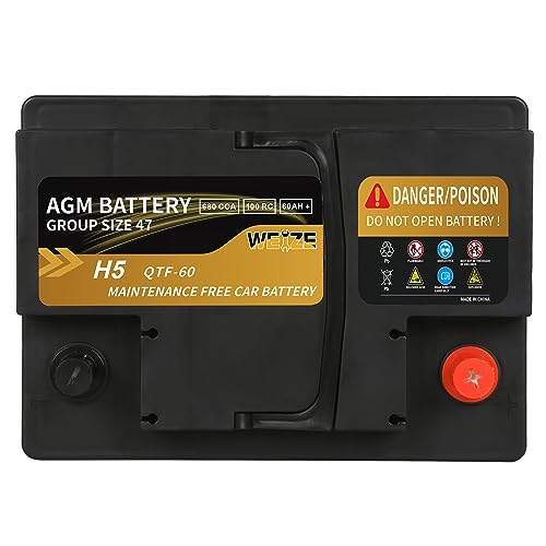 Weize Platinum AGM Battery Group 24F, 710CCA W12978