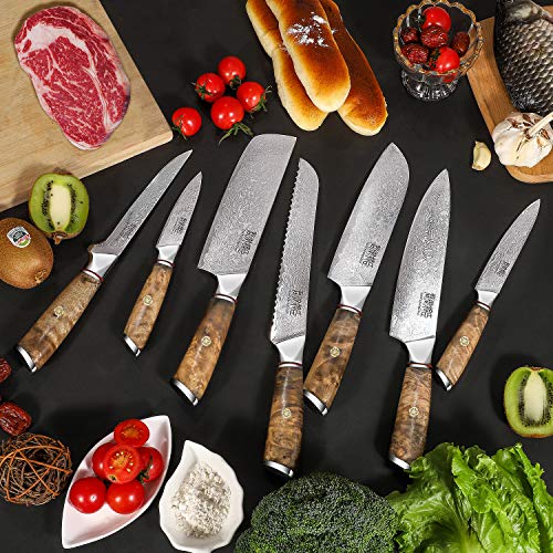 Damascus Steel VG10 Knife Set with Walnut Block, 8 Piece X659