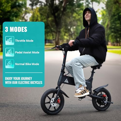 TST Foldable Electric Bike for Adults, 500W Motor, 14" Tires S245738