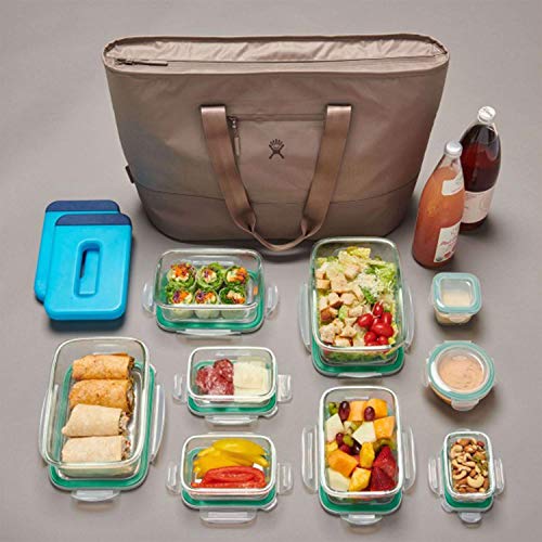 Hydro Flask Tote Insulated Cooler Lunch Travel Bag T441