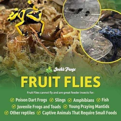 Josh's Frogs Producing Wingless Drosophila Melanogaster Fruit Fly Culture Z4381