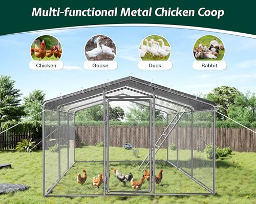 Jocisland Large Walk-in Chicken Coop with Dome Roof and Wire Mesh M784
