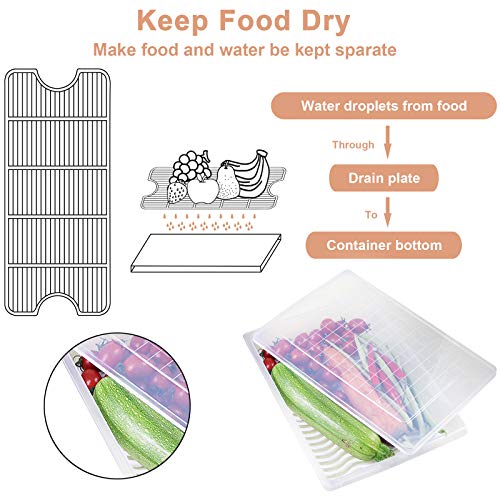 Plastic Food Storage Containers with Removable Drain Plate and Lid, Stackable, Large (4-Pack) X4503
