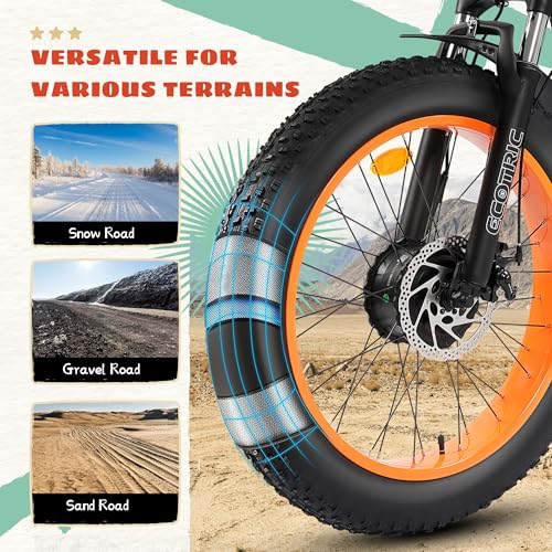 ECOTRIC Electric Tricycle for Adults, Fat Tire 750W with Removable Battery W539