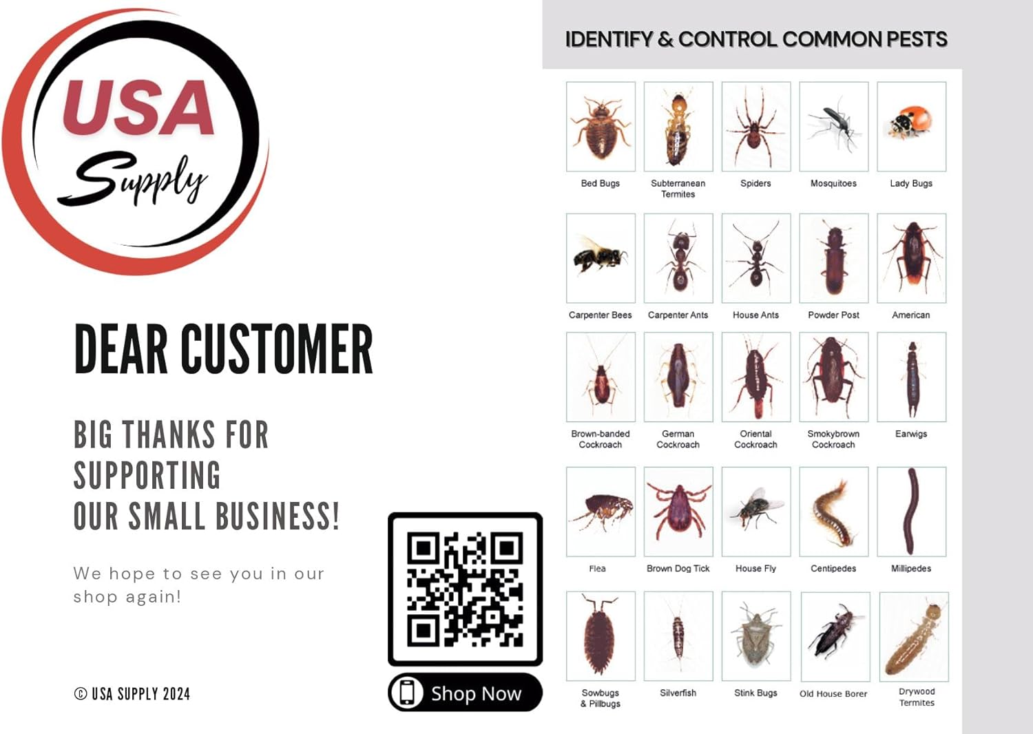 Alpine Flea & Bed Bug Pressurized Insecticide with Gloves and Pest ID Card T349