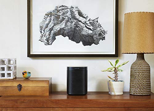 Sonos One (Gen 2) Smart Speaker with Alexa Built-In, White Y430721