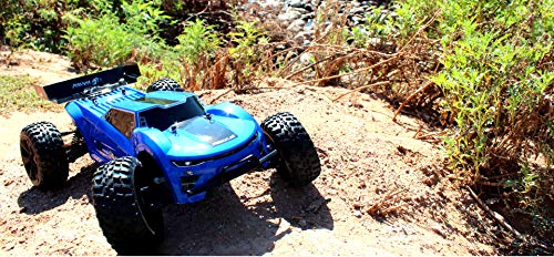 Redcat Racing Piranha TR-10 Truggy, Blue A92183
