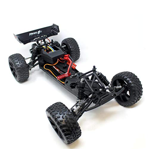 Redcat Racing Piranha TR-10 Truggy, Blue A92183