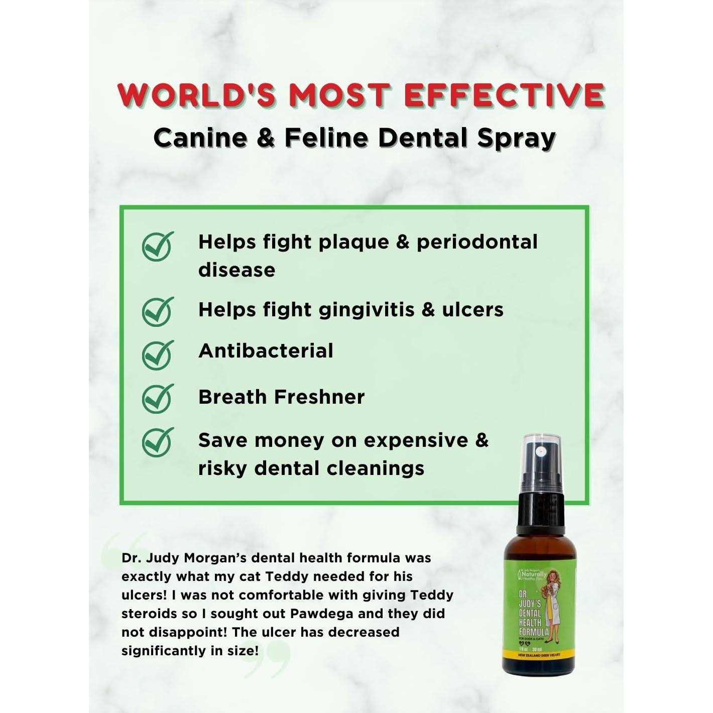 Dr. Judy Morgan's Dental Health Formula for Dogs & Cats N165451