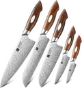 XINZUO 5-Piece Damascus Knife Set, 110 Layers Damascus Steel Professional Chef Knife Set, Razor Sharp for Meat,Vegetable Cutting,North America Desert Iron Wood Handle,Exquisite Box Package