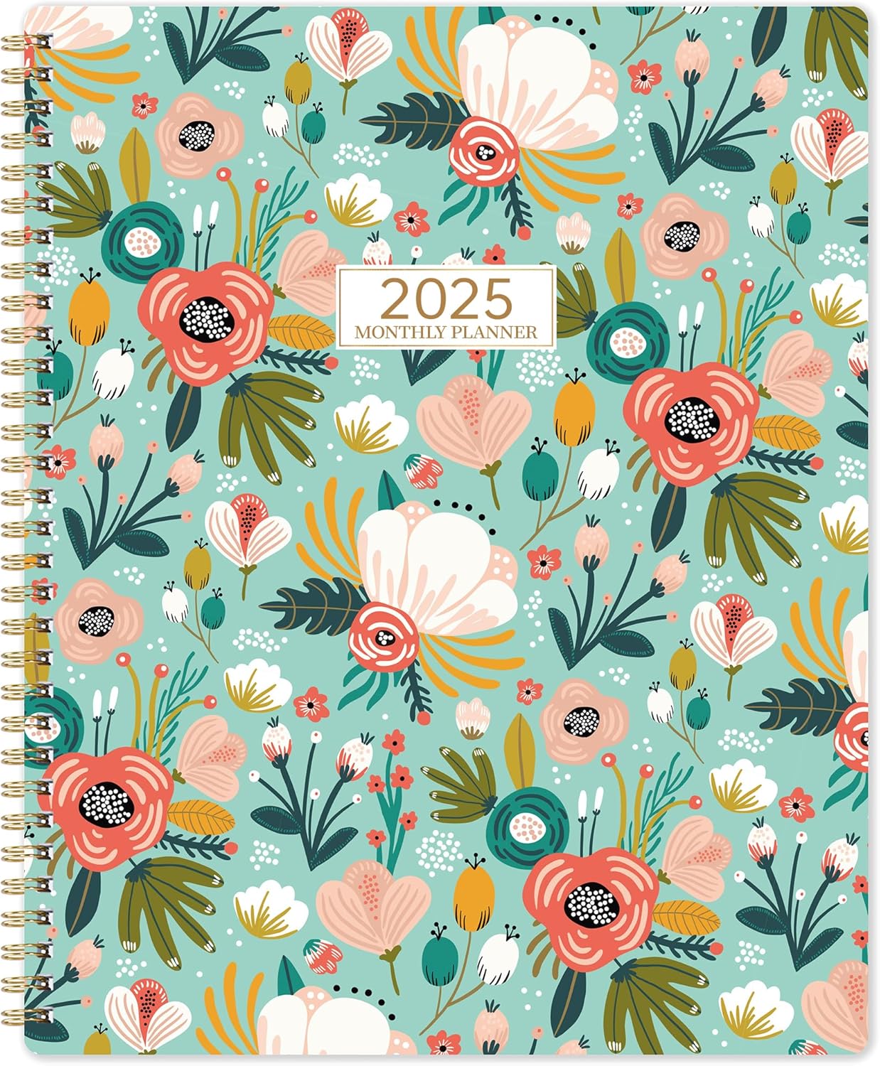 2025 Monthly Planner - Monthly Planner 2025 from Jan.2025 to Dec.2025, 2025 Planner 8.5" x 11", 12 Monthly Planner with Tabs, Inner Pocket