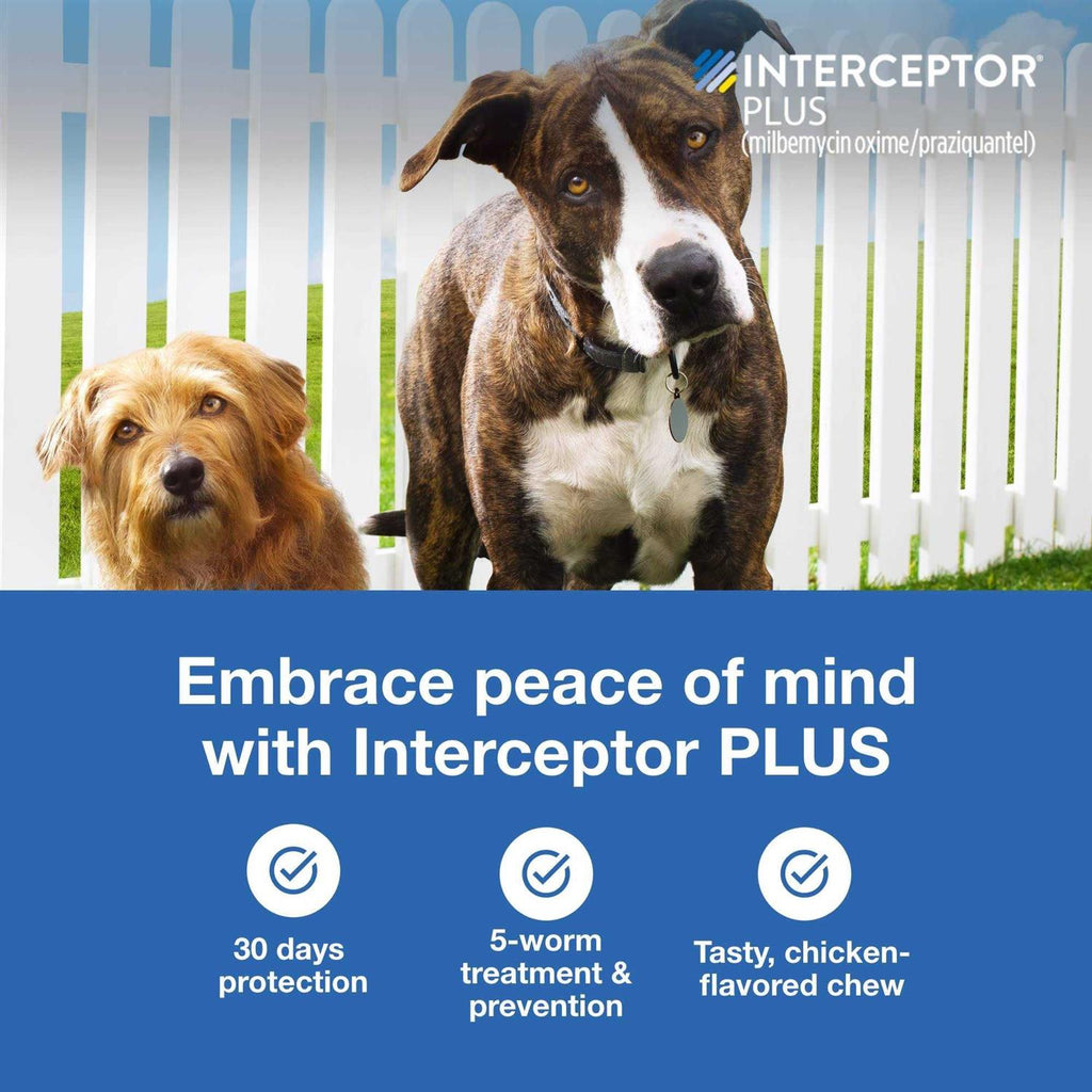Interceptor Plus Chewable for Dogs O4689