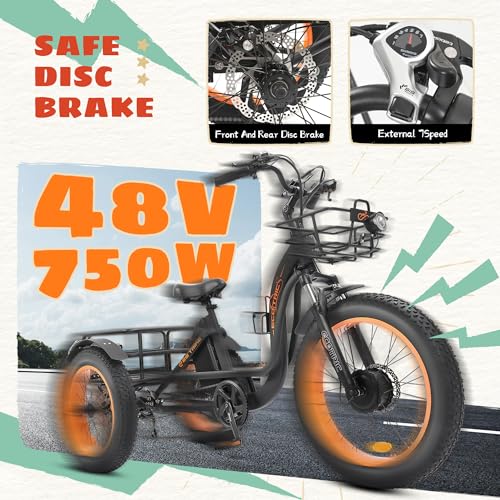 ECOTRIC Electric Tricycle for Adults, Fat Tire 750W with Removable Battery W539