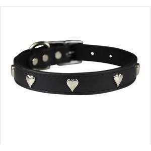 OmniPet Signature Leather Dog Collar A232933
