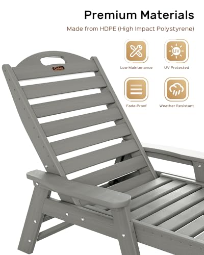 Ciokea Chaise Lounge Chair Outdoor, Adjustable 5-Position, Grey N3005