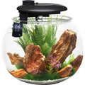 Penn-Plax Aquasphere 360 Polycarbonate Bowl-Shaped Aquarium 14 Gallon - Pet Supplies online store