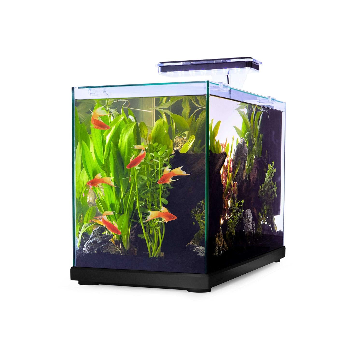 Imagitarium Glass Versa Aquarium H981734