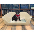 Shirley K's Indoor Dog Potty Tray - Pet Supplies online store