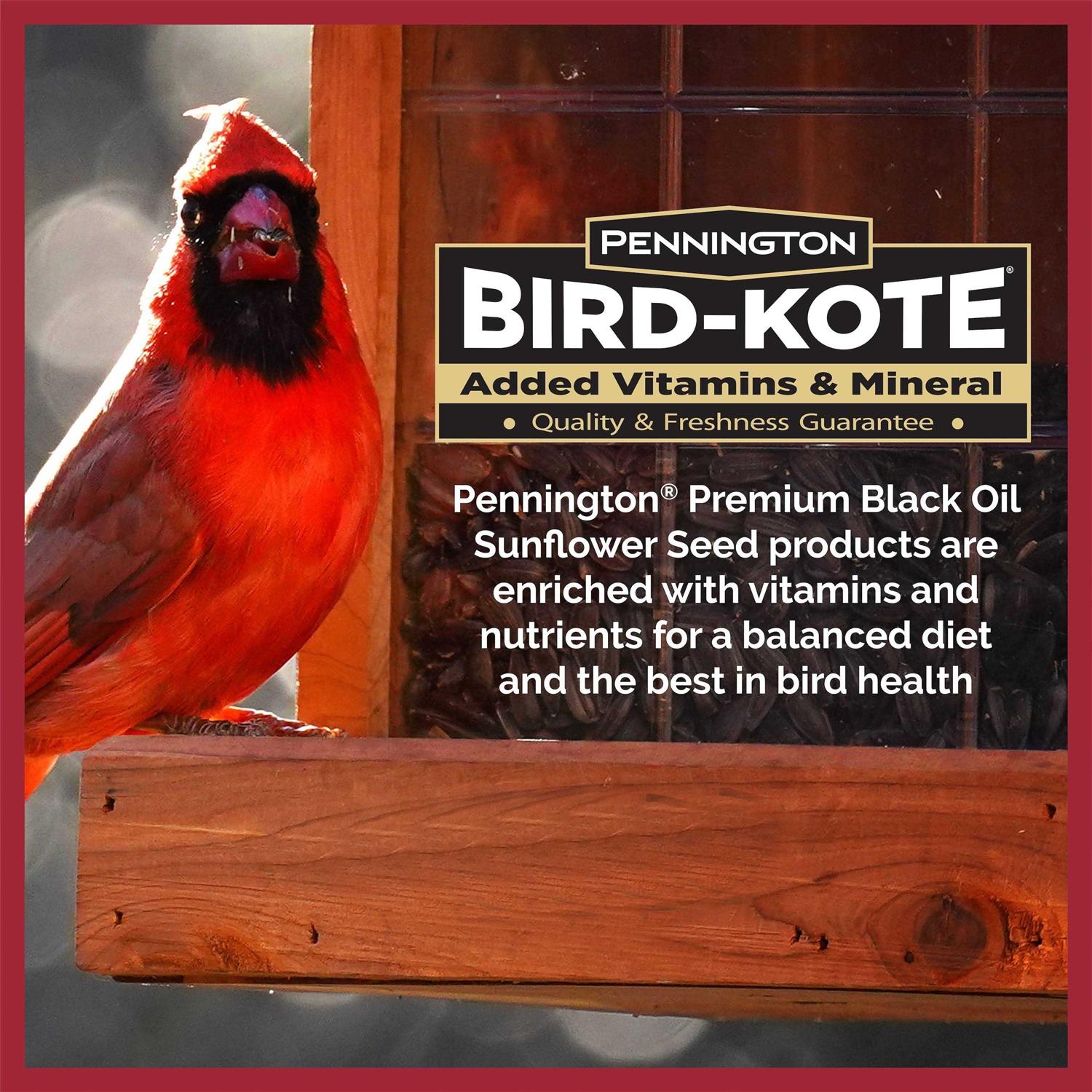 Pennington Select Black Oil Sunflower Seed Wild Bird Feed F6504