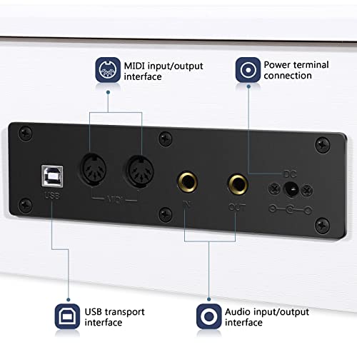 ZHRUNS Digital Piano 88 Key Weighted Keyboard with Sustain Pedal, White M963453
