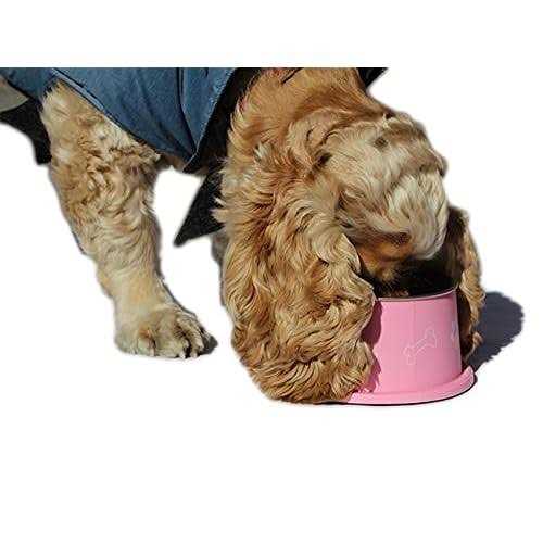 PETish Spaniel Bowl for Long Ear Dog Ergonomic Custom Design T4592
