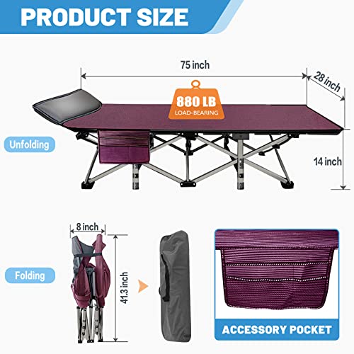 DoCred Folding Camping Cot with Mattress, 2 Pack, Heavy Duty for Adults, Portable with Carry Bag C814529