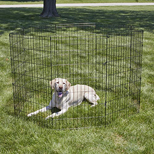 New World Folding Metal Dog Exercise Pen, 24-Inch Tall, Black E-Coated Q53206