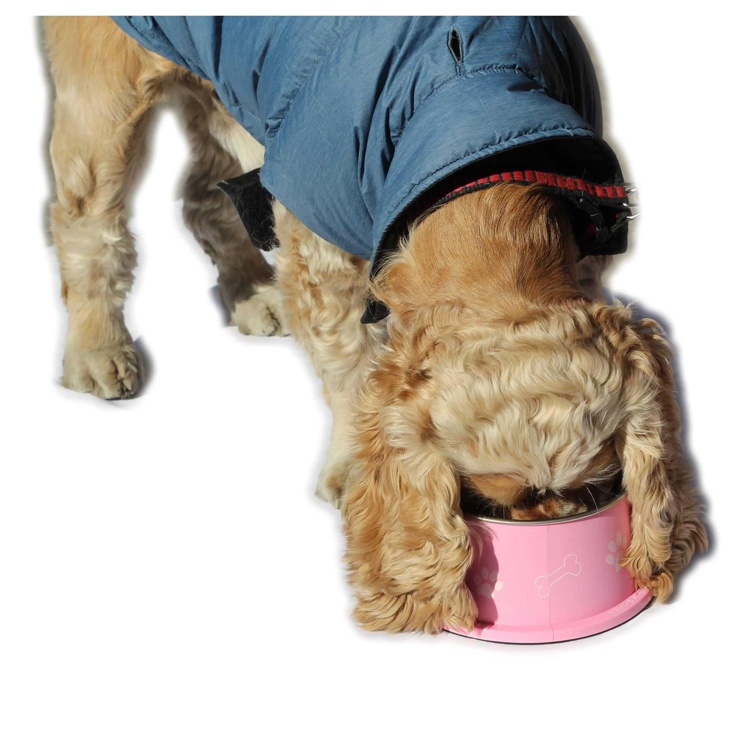 PETish Spaniel Bowl for Long Ear Dog Ergonomic Custom Design T4592