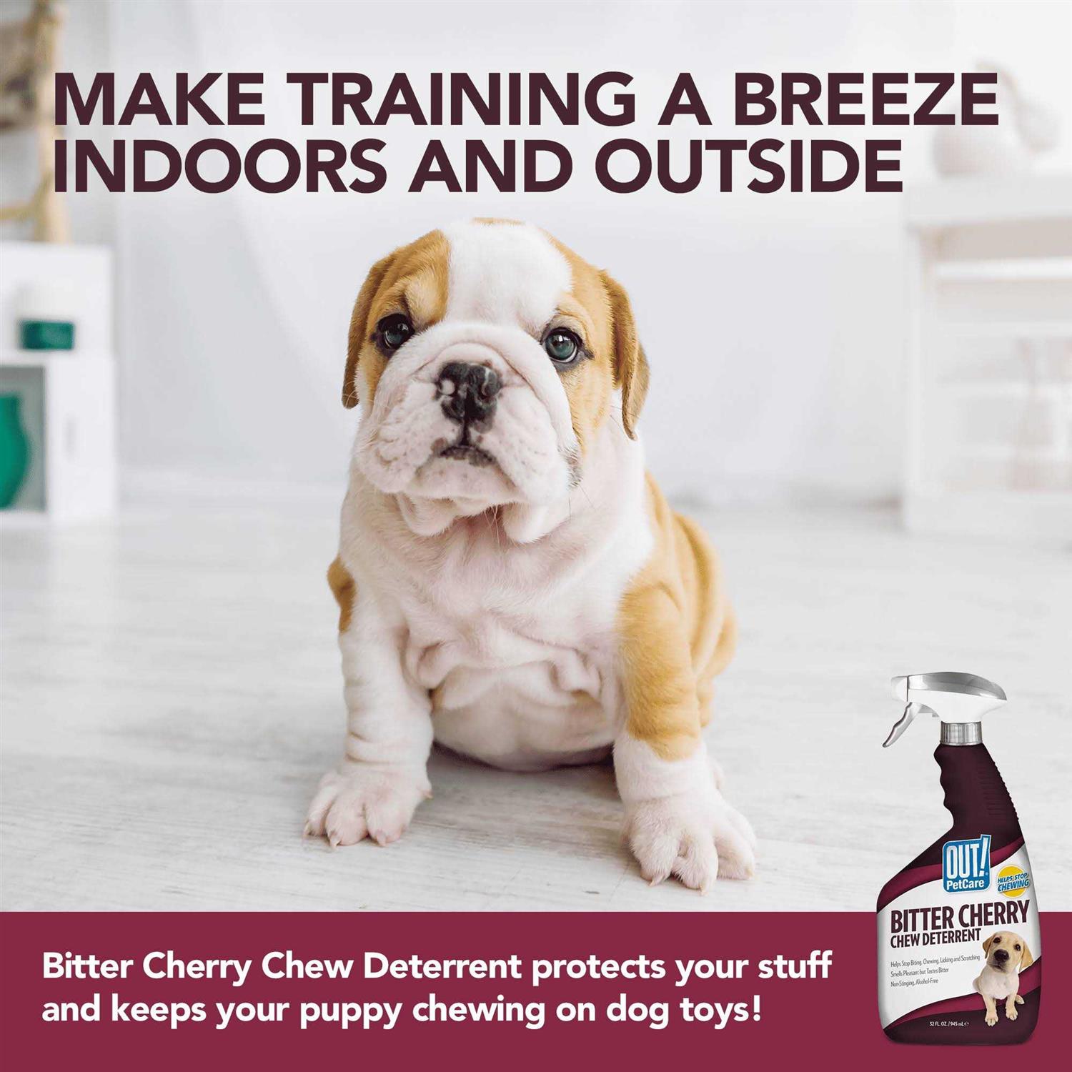 Out! PetCare Bitter Cherry Dog Chew Deterrent B480