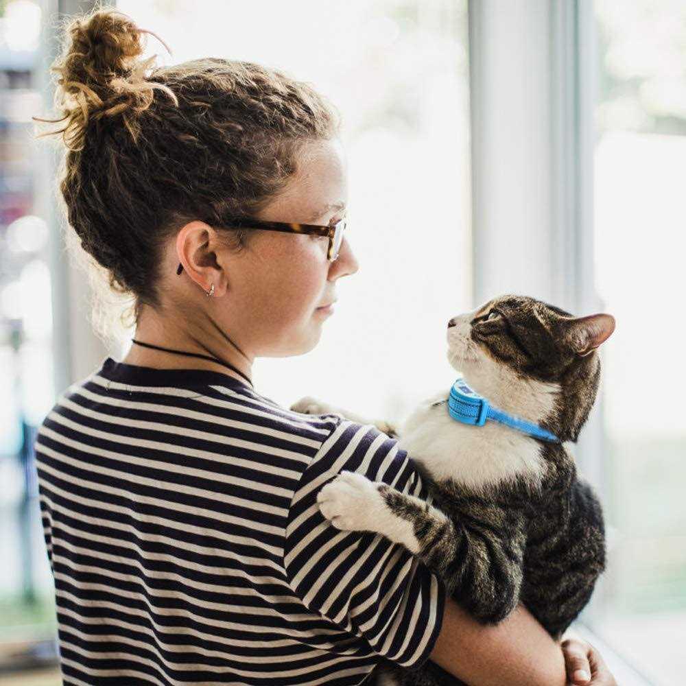 Paipaitek Cat Shock Collar Automatic Trainer for Cats L33424
