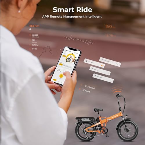 Heybike Mars 2.0 Electric Bike for Adults, Foldable Fat Tire, 1400W Peak Motor T712
