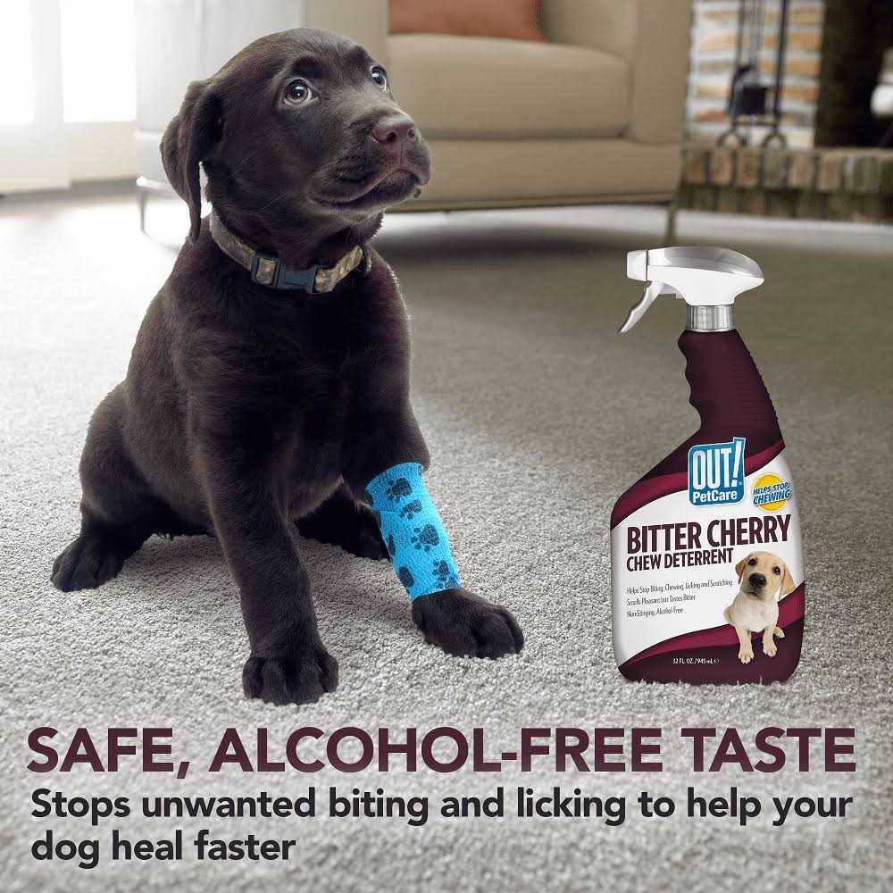 Out! PetCare Bitter Cherry Dog Chew Deterrent B480