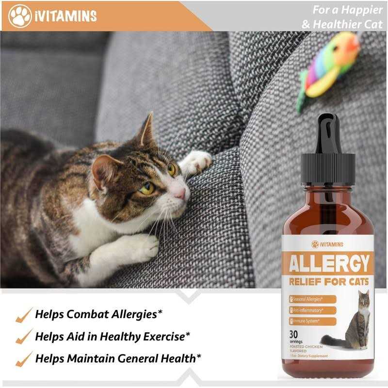 iVitamins Allergy Relief for Cats Natural Support for Allergy & Itch Relief G536634
