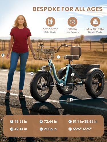 Electric Trike for Adults 960W Peak 36V 15AH Battery 20" Fat Tire with Rear Basket V89083