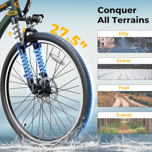 Jasion EB5 Plus Electric Bike, 750W Peak Motor, 20MPH for Adults Y42748