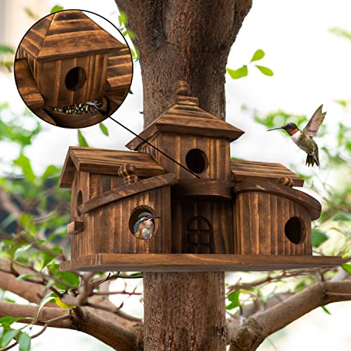 5 Hole Hanging Birdhouse for Outside Garden S2695