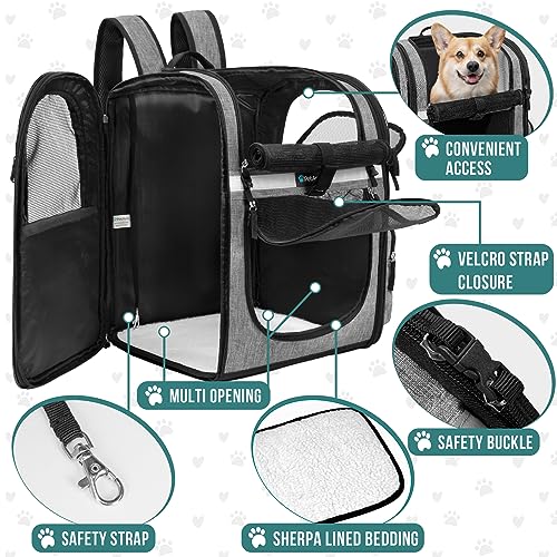 PetAmi Dog Backpack Carrier for Small Large Cat, Pet, Puppies, Ventilated Pet Hiking Backpack Travel Bag, Airline Approved Cat Backpack Carrier, Safety Back Support, Camping Biking, Max 18 lbs, Black W933