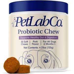 PetLab Co. Allergy & Immune Probiotic Chew Supplement for Dogs B675