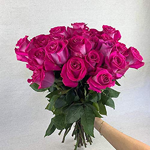 Fresh Cut 24 Red Roses Bouquet - 20" Long Stems R443599