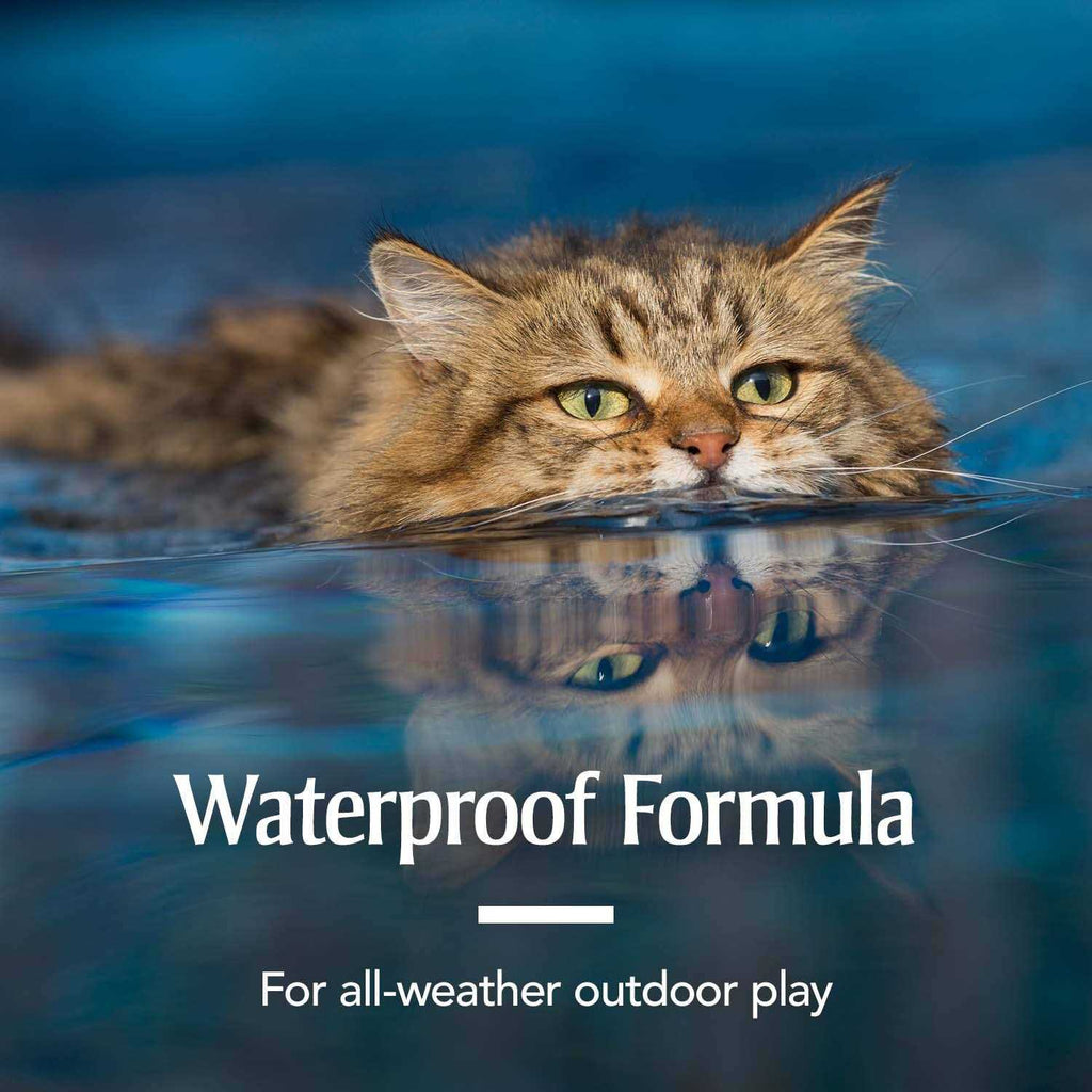 PetArmor Flea & Tick Spot Treatment for Cats O857525