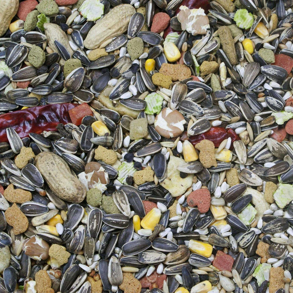 Higgins Vita Seed Parrot Food O19003