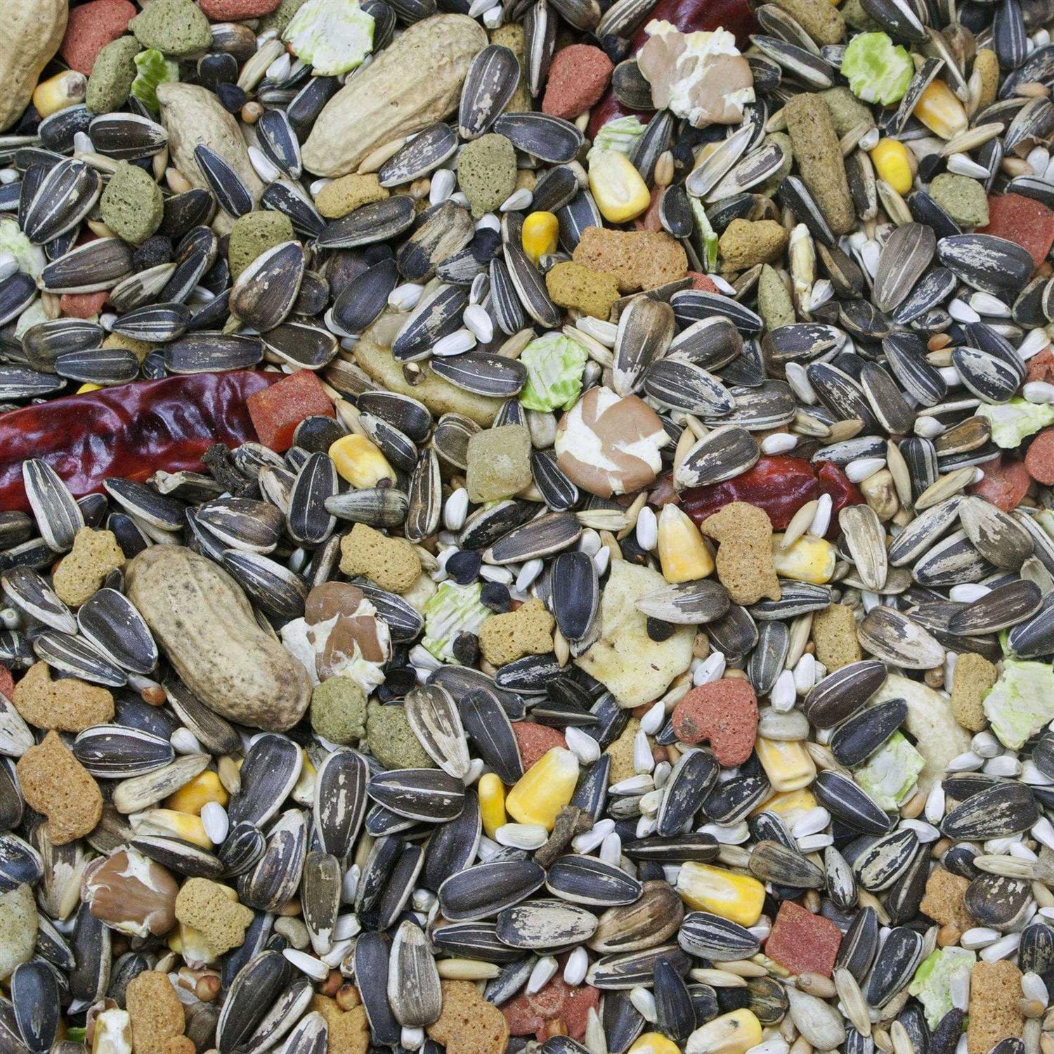 Higgins Vita Seed Parrot Food O19003